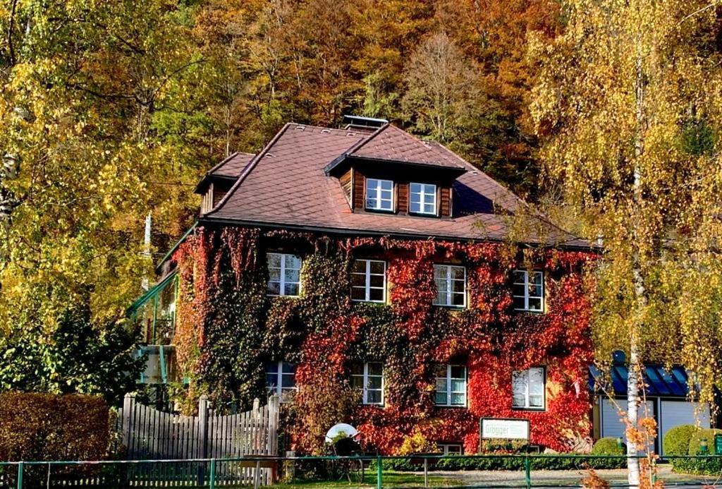 Gaestehaus Grogger Weyer Markt Esterno foto