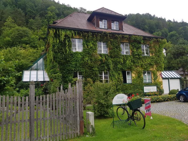 Gaestehaus Grogger Weyer Markt Esterno foto