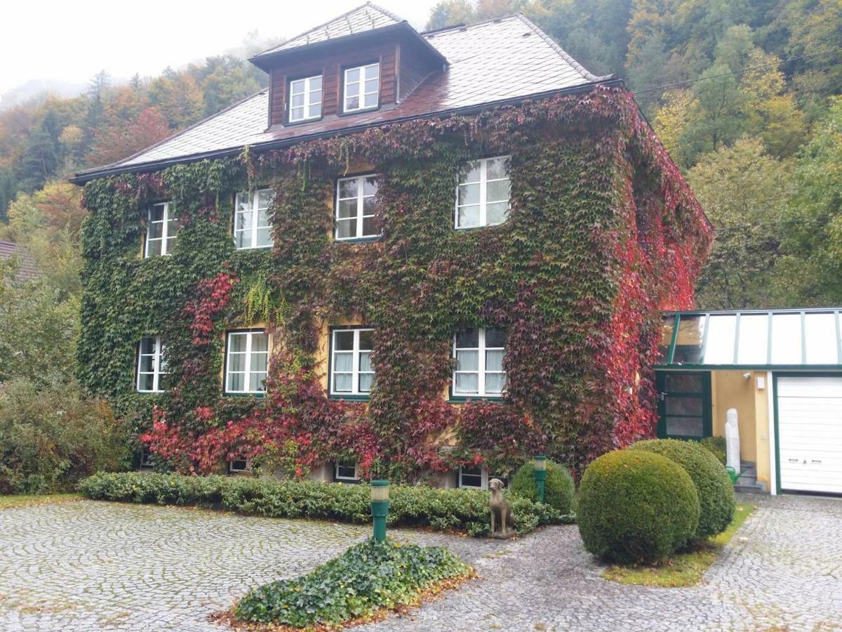 Gaestehaus Grogger Weyer Markt Esterno foto